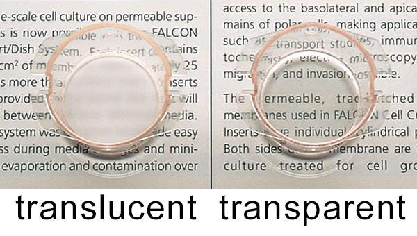 Clear vs. Translucent vs. Transparent: Translucent vs. Transparent